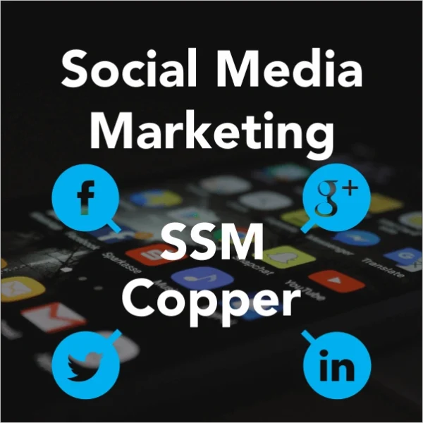Social Media Marketing - Image 6