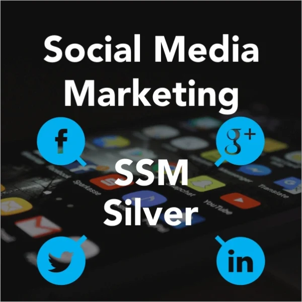 Social Media Marketing - Image 8
